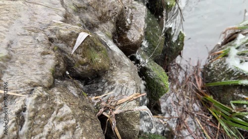Wallpaper Mural Cold water flows smoothly over dark, mossy stones in a frozen woodland. This refreshing sight brings a feeling of calm and natural purity. The winter air feels crisp as the stream moves steadily. Torontodigital.ca