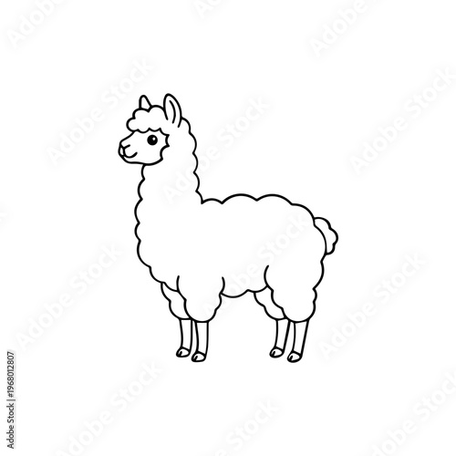 Simple Cartoon Llama Illustration.