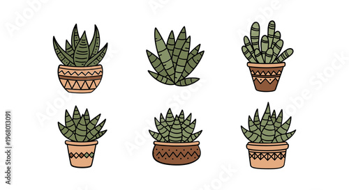Six Potted Succulents in Colored Pots.
