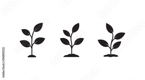 Set of three black plant silhouettes with leaves and stems growing out of ground on white background  simple botanical illustration