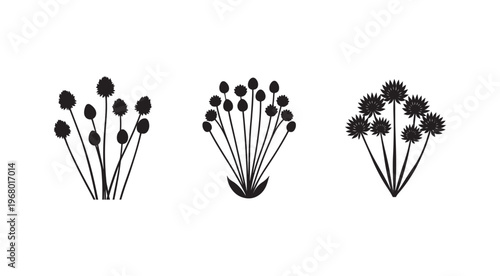 Silhouette of three different flower arrangements with multiple stems and buds  isolated on white background