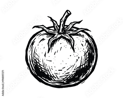 Whole fresh tomato with stem and leaves, detailed linocut texture, black ink drawing on transparent