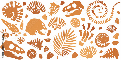 A collection of stylized orange toned fossil and plant illustrations
