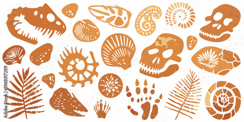 Fossil and skull illustrations in a warm earthy orange tone