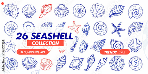 A collection of hand drawn seashells and starfish in blue and red