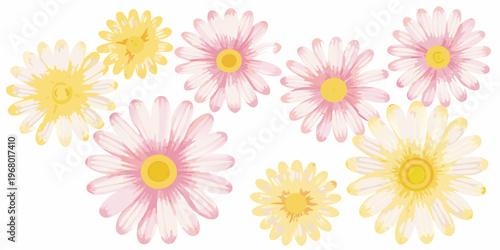 A collection of colorful daisy flowers arranged on a white background