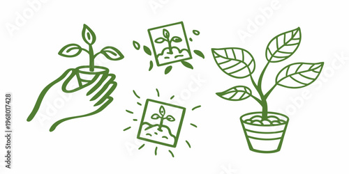 Hand planting a seedling with various stages of plant growth shown