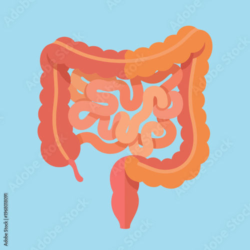 A stylized and educational representation of the human intestinal system, showcasing the complexities of digestion, health, and anatomy, ideal for medical or educational purposes.