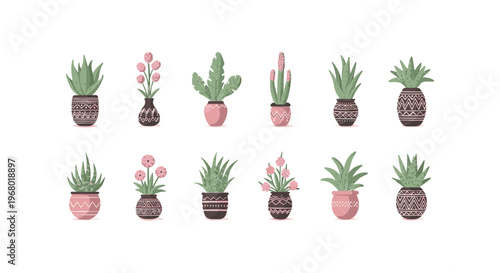 Variety of Potted Succulent Plants Illustration.