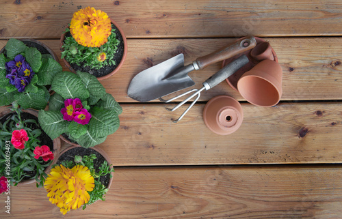 top view of small gardening tools with an old secateur on wooden parquet and ...