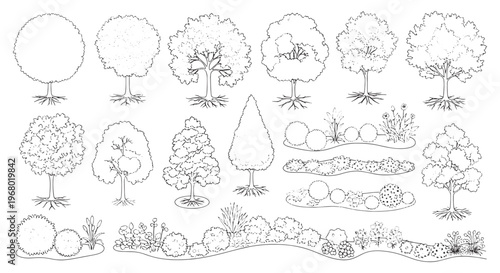 Architectural Nature CAD Collection – Trees, Plants & Landscape Design