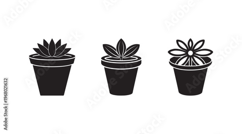 Three black potted plants with different leaf shapes isolated on white background