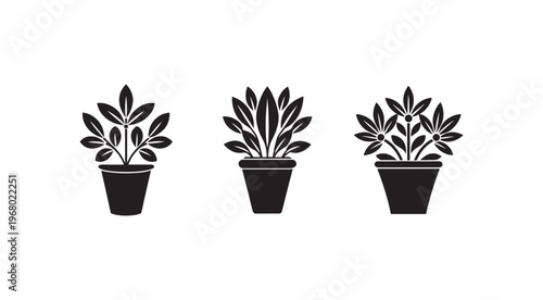 Three black silhouette potted plants with different leaf shapes and sizes on white background  plant icons