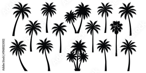 Tropical palm trees set silhouettes