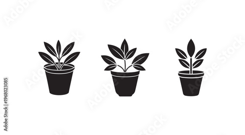 Three black silhouettes of potted plants with different leaf shapes on white background  simple plant icons