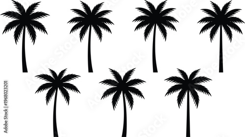 Black palm trees set isolated on white background. Palm silhouettes. Design of palm trees for posters, banners and promotional items. Vector illustration