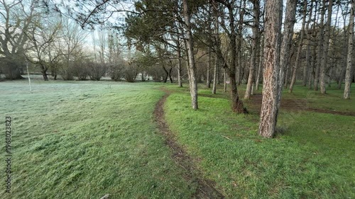 Wallpaper Mural A slender dirt path winds along the edge of a pine grove and a frost-covered field. The contrast between the bright green grass and the chilly morning frost creates a fresh, tranquil feeling. Torontodigital.ca