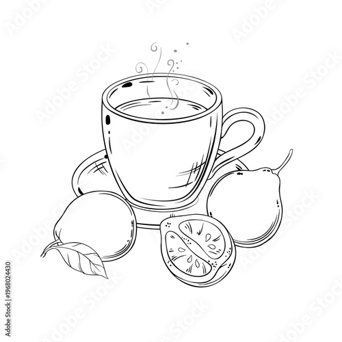 Bergamot Tea in Teapot aroma beverage Outline Illustration. Vector isolated for Design and Decoration for Cafeteria, Posters, Banners, Cards.