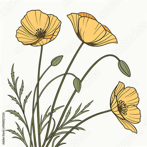 A vibrant illustration depicts three golden poppy flowers with slender stems and delicate green leaves against a pale background