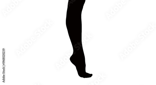 barefoot woman leg in black stocking vector illustration