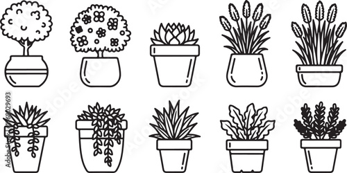Various types of trees and plants growing in clay pots Vector