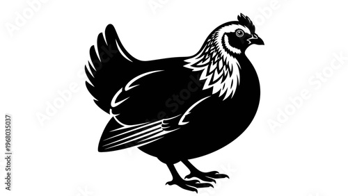 Black Silhouette of a Chicken Standing on a White Background