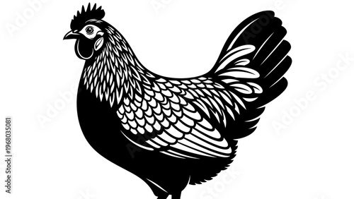 Black and White Silhouette of a Chicken, Farm Animal, Poultry Illustration