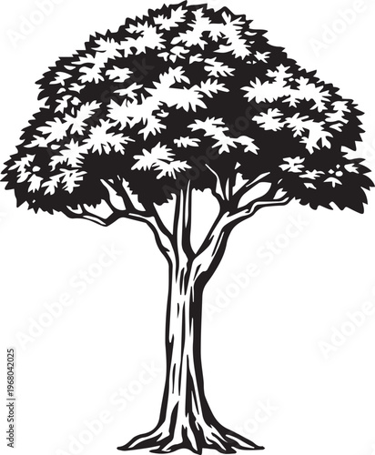 A detailed monochrome illustration of a grand tree, capturing its impressive trunk, detailed branches, and lush leaves.