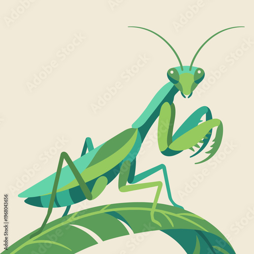 A vibrant green praying mantis sits gracefully on a leaf, showcasing its natural camouflage and intricate details that highlight its unique features and aesthetic beauty.