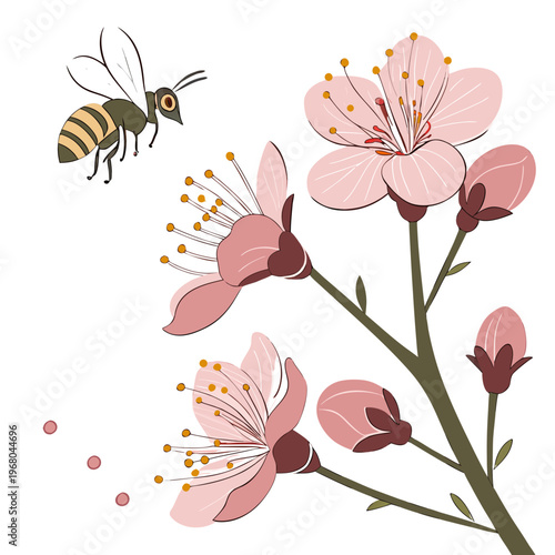 Canvas Print A charming illustration depicts a bee in flight approaching delicate pink blosso