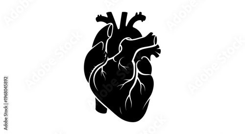 human heart anatomy vector illustration, flat design