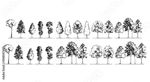 Black & White Tree Silhouettes – Forest & Park CAD Vector Pack