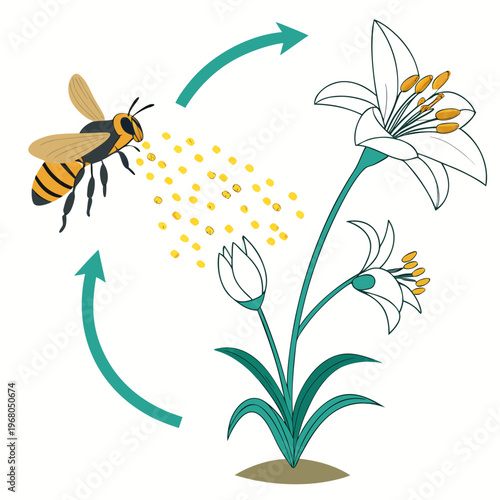 A vibrant illustration depicts a bee pollinating a white lily showcasing the natural process of plant reproduction and ecological balance