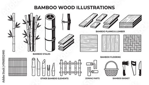 Bamboo wood vector illustration showing stalks planks flooring textures basket and carpentry tools