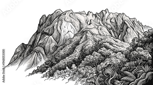 A detailed, high-contrast black and white illustration of a majestic mountain range with lush, dense forestation in the foreground.