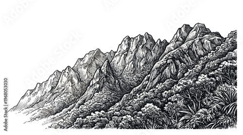A detailed black and white ink drawing of a rugged mountain range with dense vegetation on its slopes.