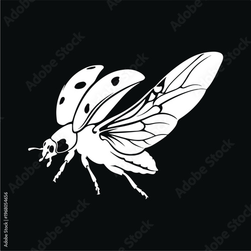 Spotted white insect on black.