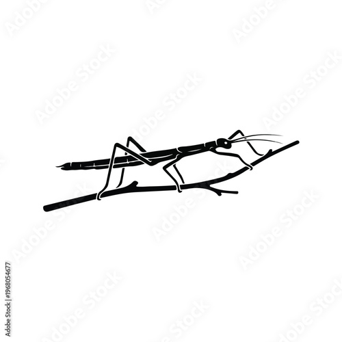 Stick Insect on Branch.