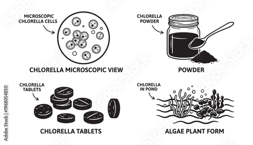 Chlorella algae microscopic view powder tablets pond form vector illustration