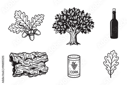 Oak tree acorns branch bark cork bottle vector illustration elements