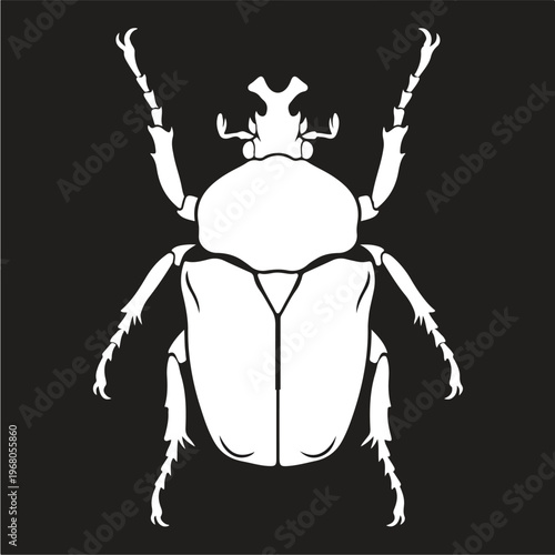 White Stag Beetle Black Background.
