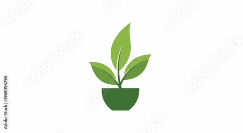 Simple green plant with leaves in a dark green pot on a white background