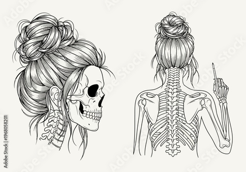 Female Skeleton Line Art Illustration with Messy Bun Hairstyle and Drawing Pose, Gothic Aesthetic Skull and Bone Drawing