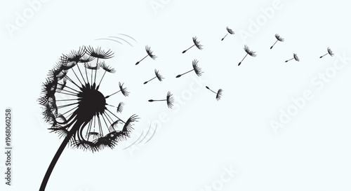 Silhouette of a dandelion with seeds blowing in the wind