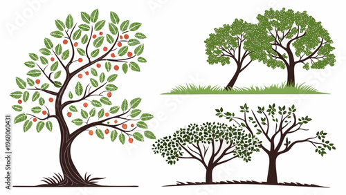 Vector images of fruit and garden trees. Minimalistic garden, ornamental plants, Elements of landscape architecture, landscaping