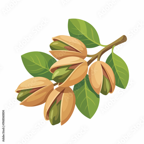 This image showcases a beautiful cluster of pistachio nuts on their branch, surrounded by lush green leaves, representing nature's bounty and agricultural delight.