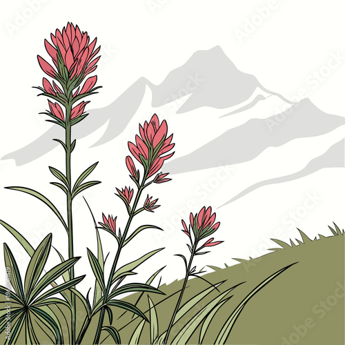 A stylized illustration depicts vibrant pink indian paintbrush flowers blooming against a backdrop of muted mountain ranges high quality professional