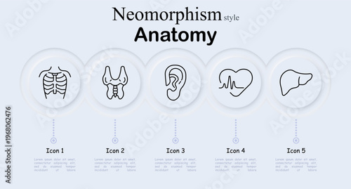 Human anatomy set icon. Rib cage skeleton, pelvis bone structure, ear hearing organ, heart pulse cardiology, liver digestive organ, medical science, healthcare education.
