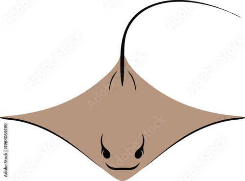 Front view stingray with broad winged body illustration