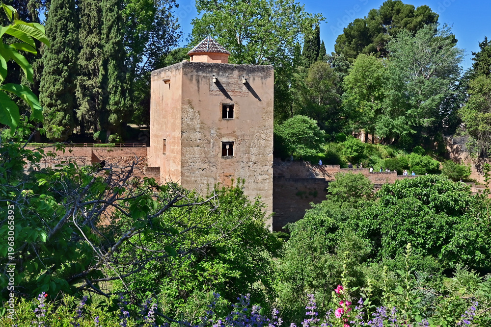 Fototapeta premium Granada, giardini e roseti in fiore dell'Alhambra, Andalusia, Spagna